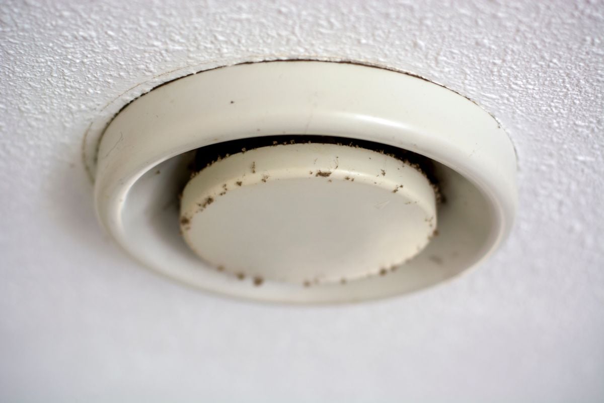 Early stage signs of black mold in air vents